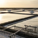 Basse saison Noirmoutier : avantages, tarifs et climat