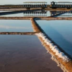 Petit train des marais salants de Guérande : notre avis