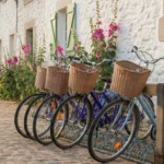 Vélos de l’île de Ré au Bois-Plage : notre avis