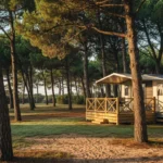 Camping Les Biches en Vendée : guide complet et avis