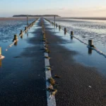 Passage du Gois : horaires de marée à jour en 2026